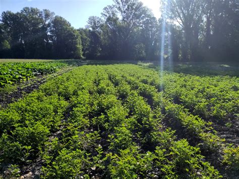 Meylan Fruits à Meylan