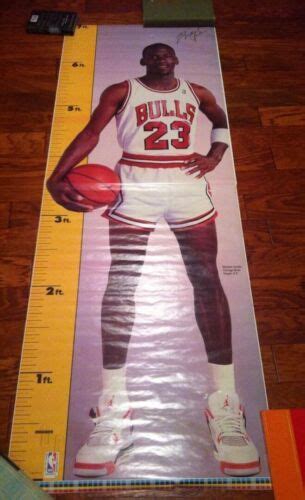 Michael Jordan Height Chart