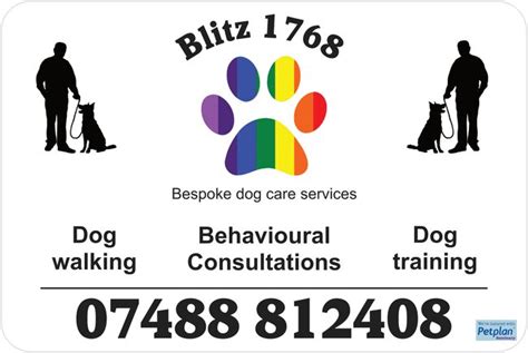 Michael Shepherd T/A Blitz 1768 Bespoke dog care services