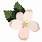 Michigan-State-Flower