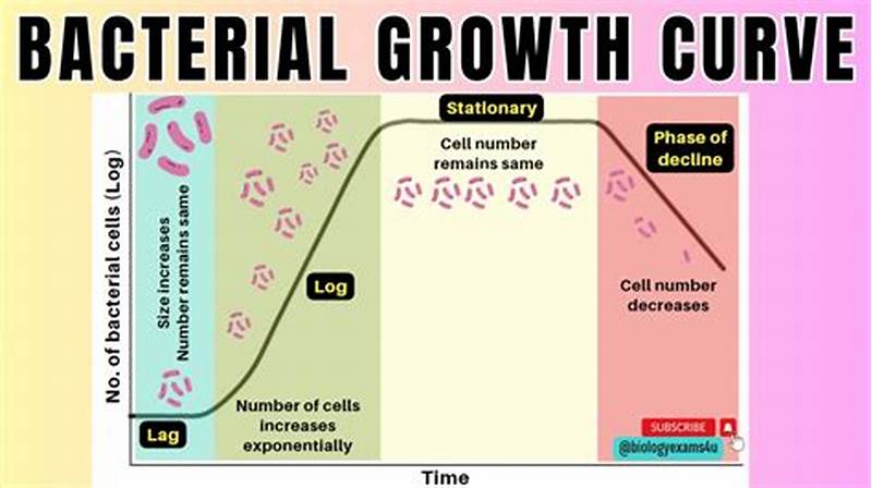 Microbial Growth Pattern