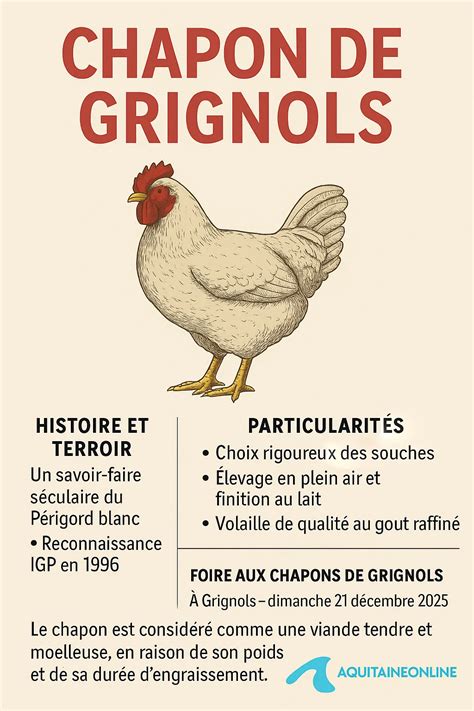 Microhelp à Grignols