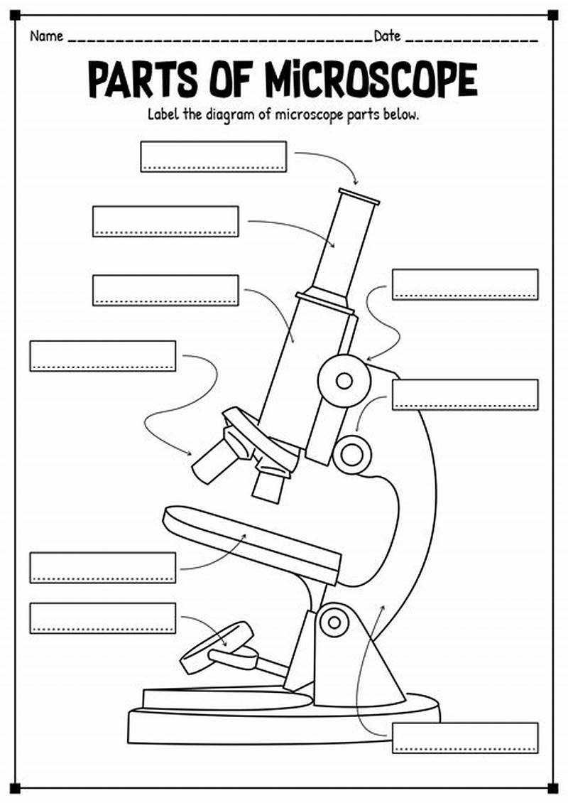 Microscope Coloring Worksheet