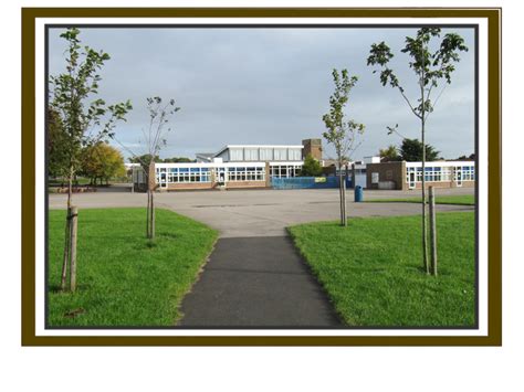 Mill Hill Primary School
