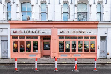 Milo Lounge
