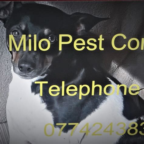 Milo Pest Control