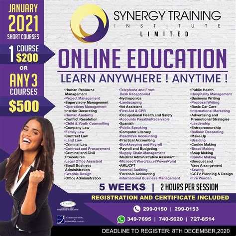 Mind Synergy Training Institute