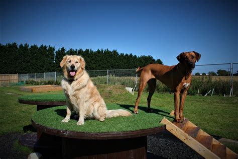 Mind Your Paws - Boarding Kennels