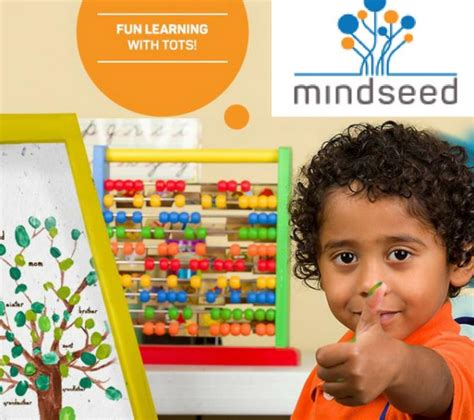 Mindseed Preschool & Daycare - Wakad, Pune