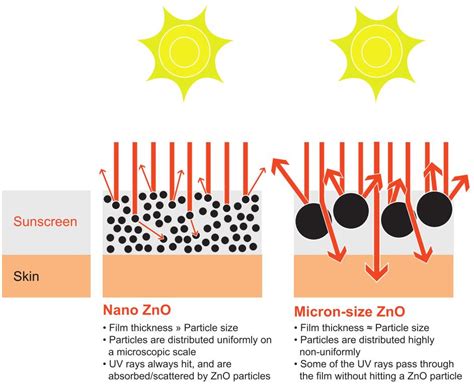 Mineral Nanoparticles in Sunscreens