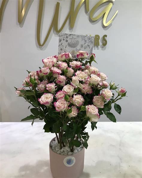Mira_flowers Onlyfans Leak 42 HD