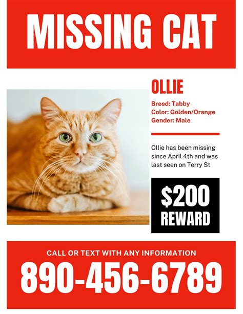 Missing Cat Template