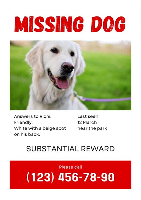Missing Dog Template Poster