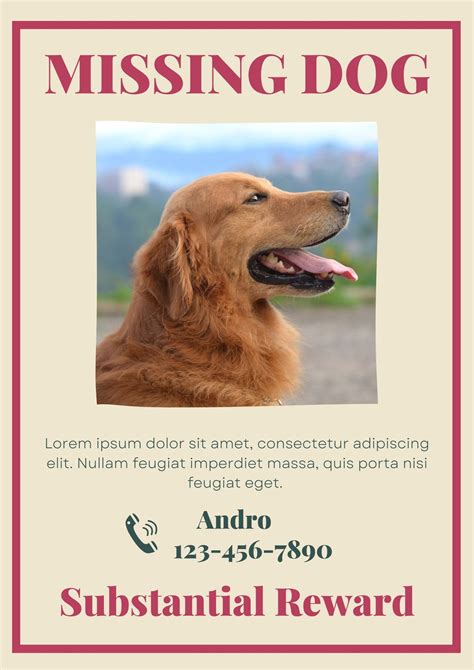 Missing Pet Poster Template