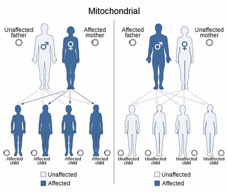 Mitochondrial Inheritance Pattern