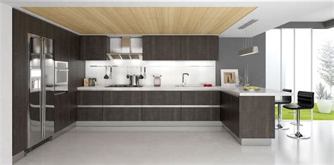 Modern-Kitchen-Cabinets
