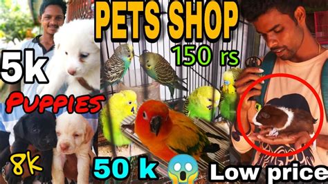 Mohan Pet Shop