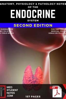 ^^ Free Molly’s Nursing Notes: The Endocrine Edition Pdf Books