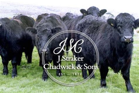 Monmouthshire Livestock Auctioneers