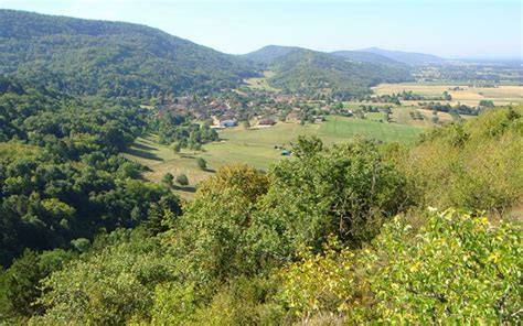 Mont de Grillerin à Val-Revermont