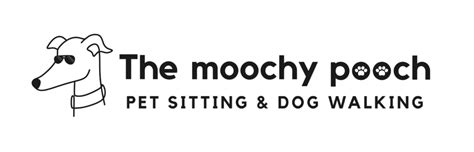 Moochy Poochy Walks Haverhill - dog walking and home visits for pets
