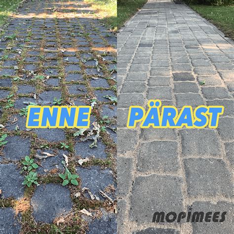Mopimees 
