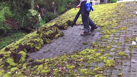 Moss Removal & Gutter Cleaning Services Lincolnshire