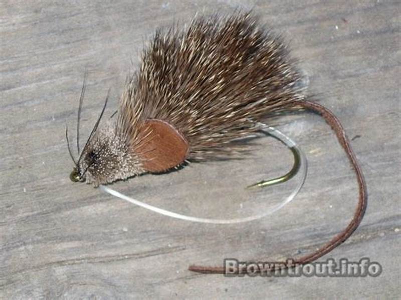 Mouse Fly Pattern