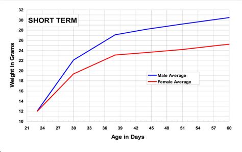 Mouse Growth Chart