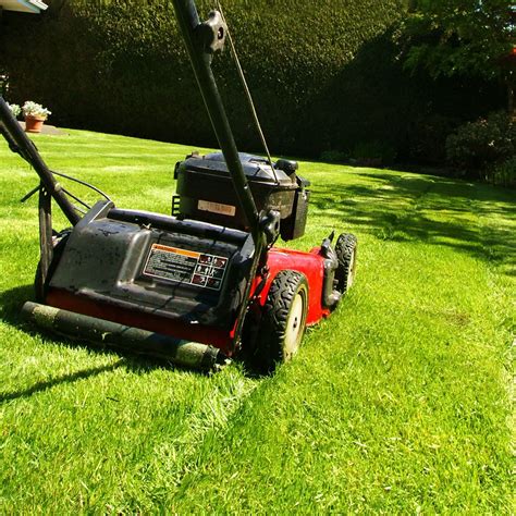 Mow my lawn - cut my grass!