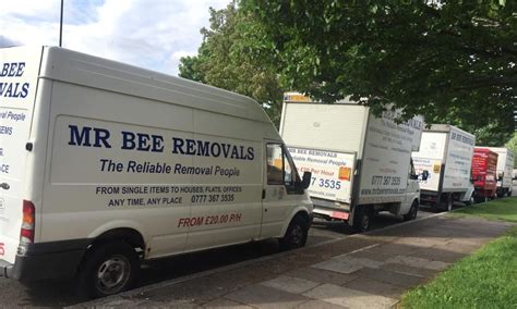 Mr Bee Removals