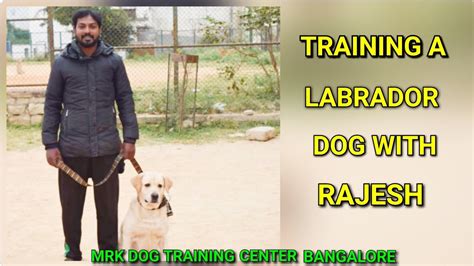 Mrk Dog Training Centre