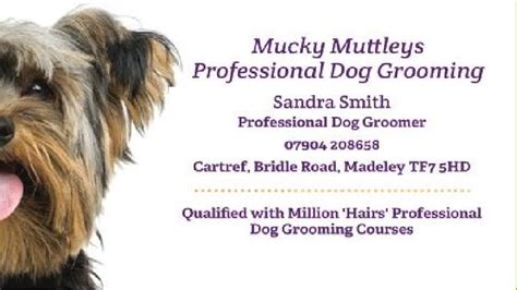 Mucky Muttleys Professional Dog Grooming