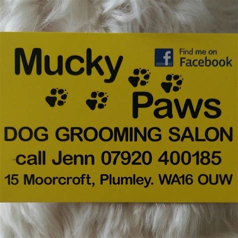 Mucky Paws dog grooming studio
