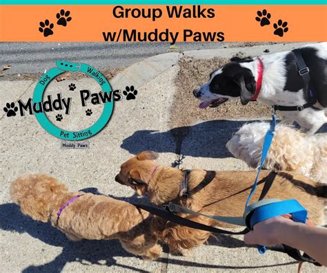 Muddy Paws Club - Dog Walking