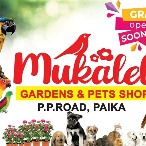 Mukalel Pets And Gardens, Paika
