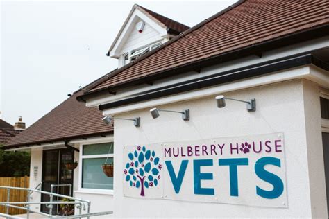 Mulberry House Vets