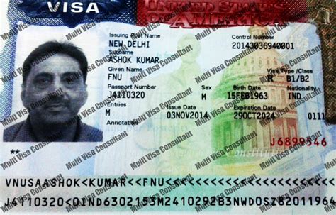 Multi Visa Consultant