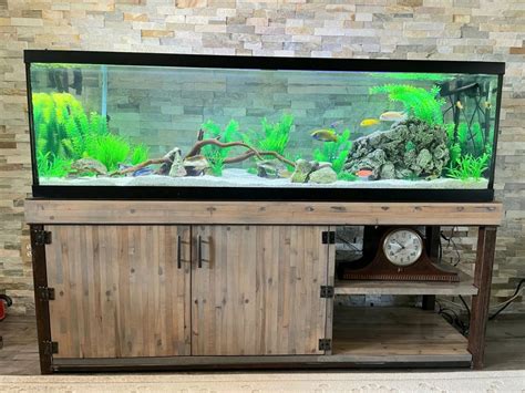 Multi-Level Fish Tank Stand Ideas