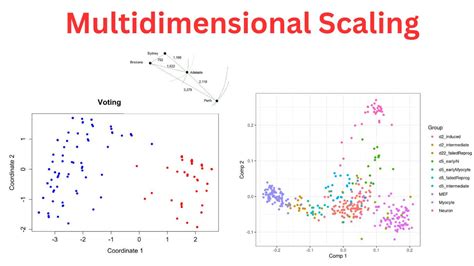Multidimensional Scaling Example