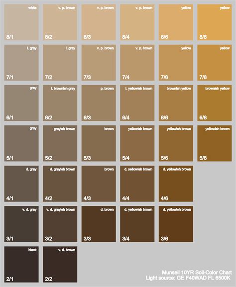 Munsell Color Chart 10yr