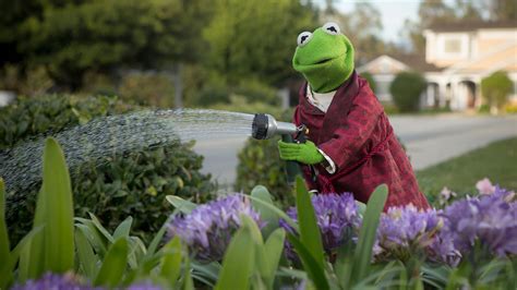 Muppets Gardening Service