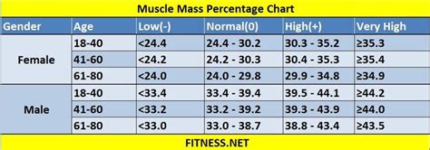 Muscle Percentage Chart