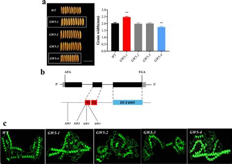 Mutant Distribution à Le Trait