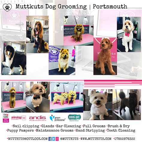 Muttkuts Dog Grooming & Pet Supplies