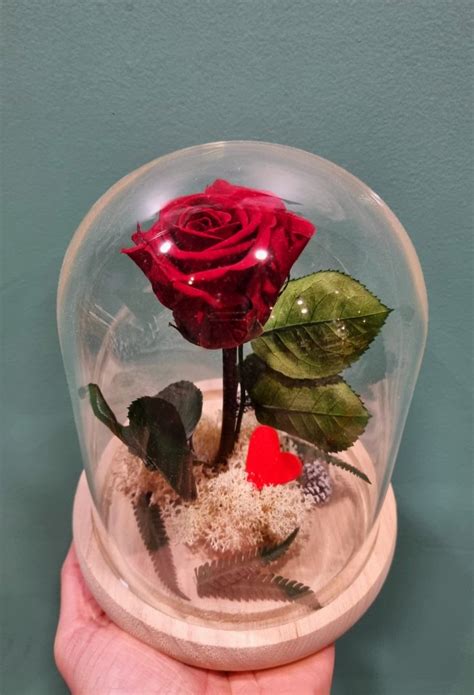 NATURA'LIS Corbas à Corbas