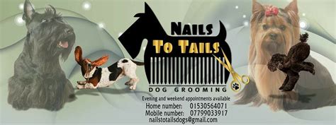 Nails to Tails dog grooming