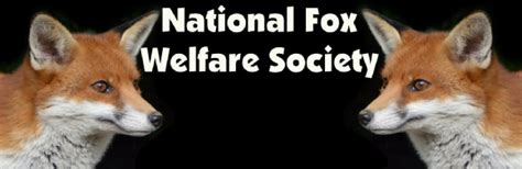 National Fox Welfare Society