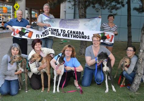 National Greyhound Supporters Club