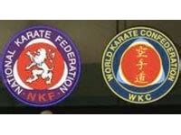 National Karate Institute Scotland (NKI)